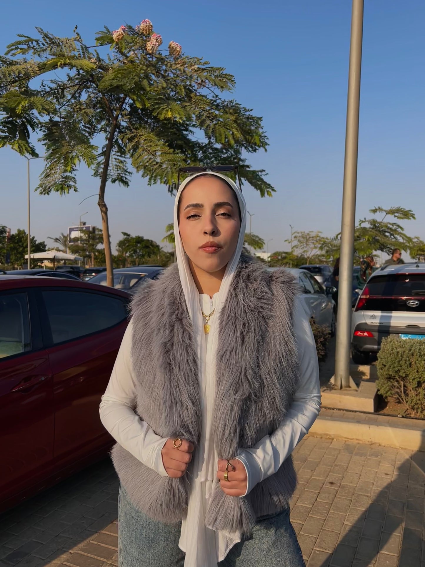 Grey Furry Vest ( Preorder )